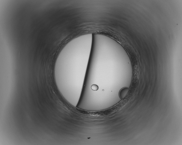 X0000116890650200912221005