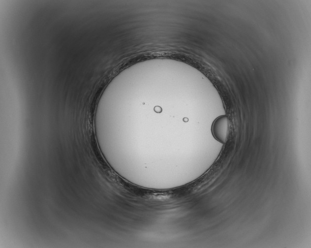X0000116890651200912221005