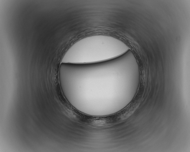 X0000116890653200912221005