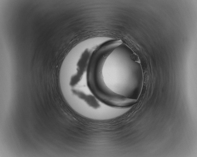 X0000116890655200912221005