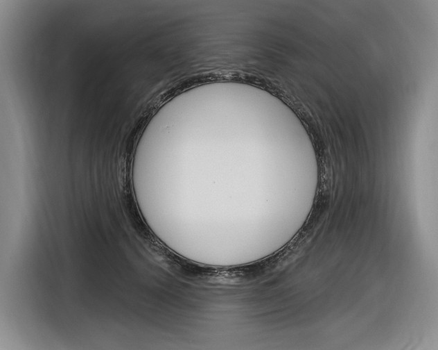 X0000116890656200912221005