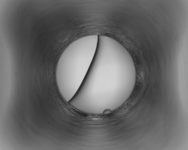 X0000116890658200912221005