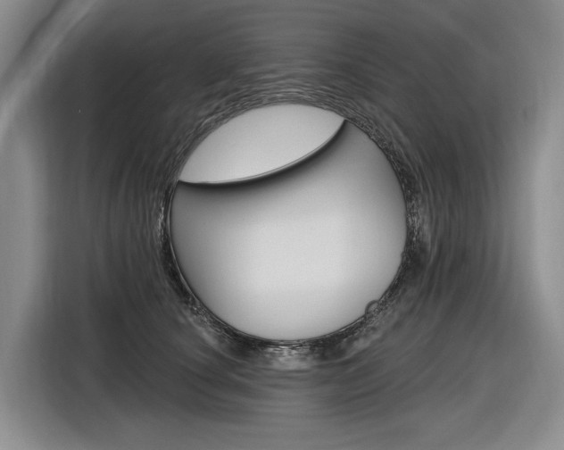 X0000116890660200912221005