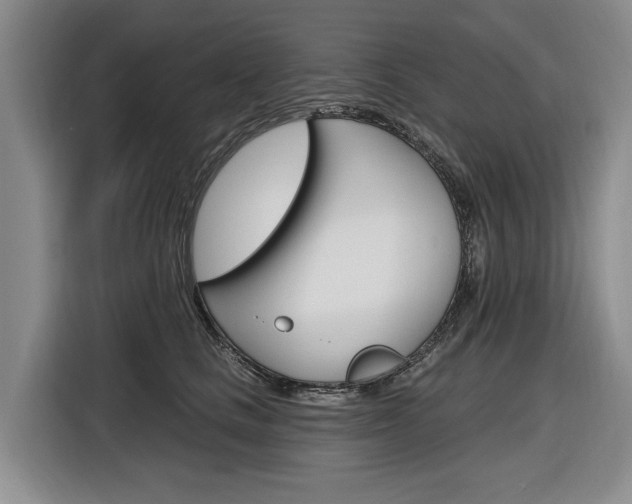 X0000116890661200912221005