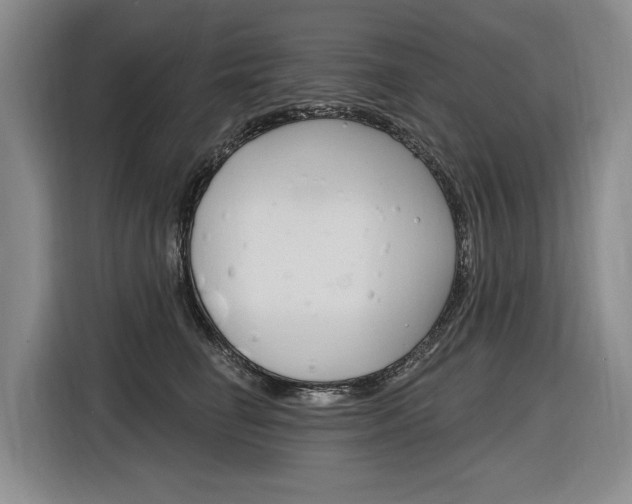 X0000116890662200912221005