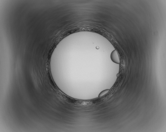 X0000116890663200912221005
