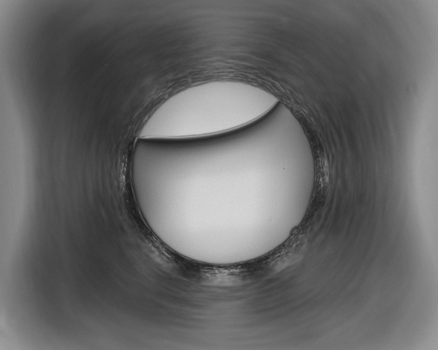 X0000116890664200912221005