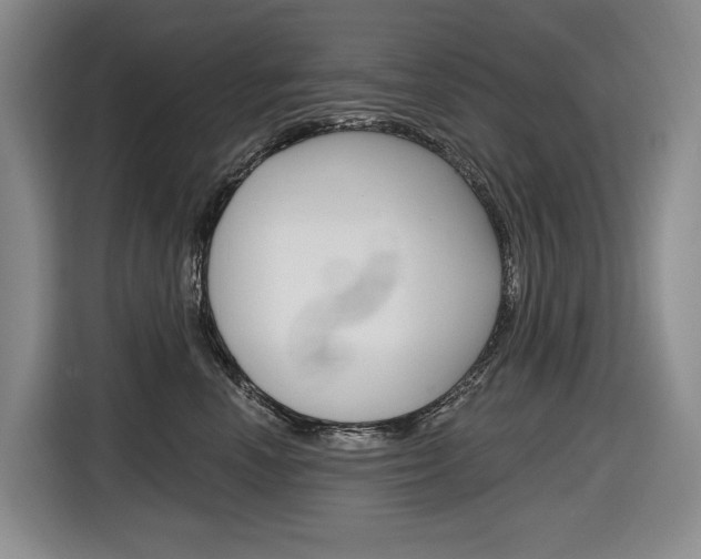 X0000116890666200912221005