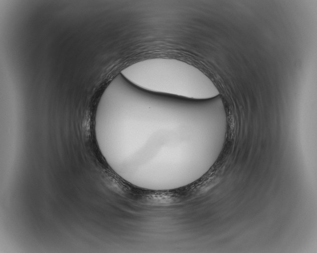 X0000116890668200912221005