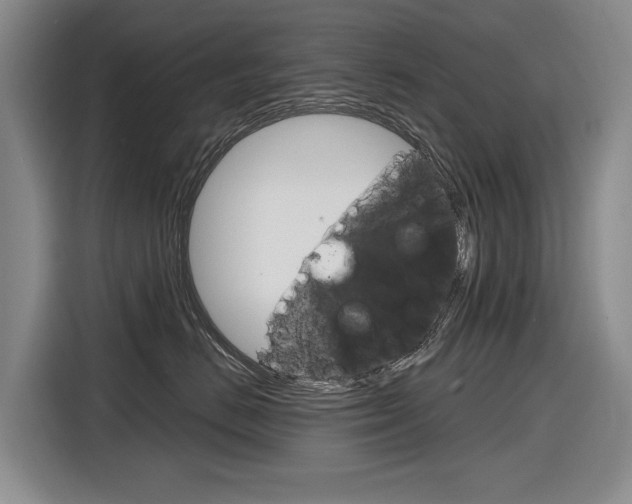 X0000116890670200912221005