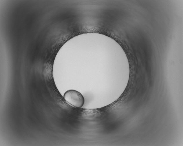 X0000116890672200912221005