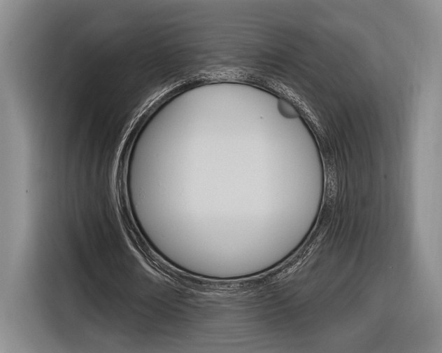 X0000116890674200912221005
