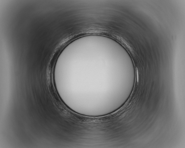 X0000116890675200912221005