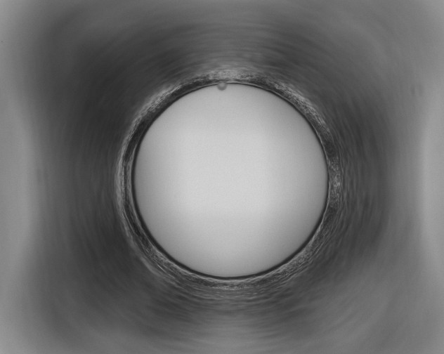 X0000116890678200912221005