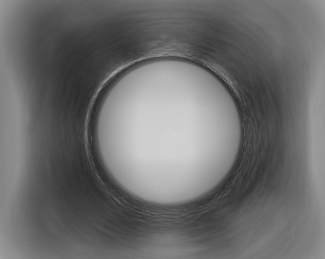 X0000116890680200912221005