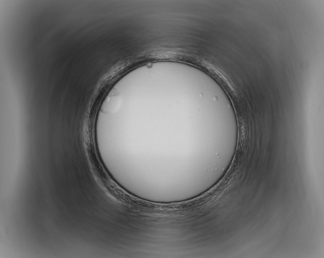 X0000116890682200912221005