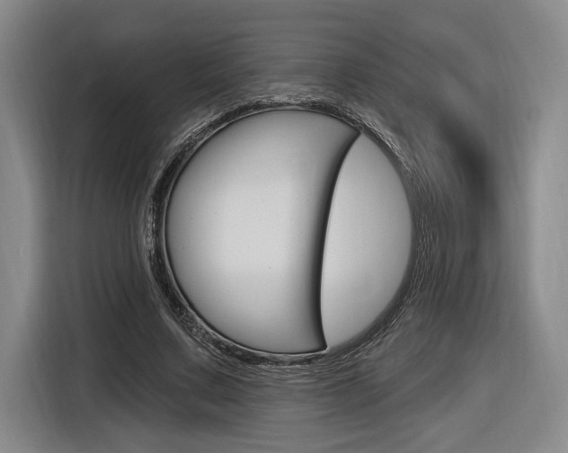 X0000116890683200912221005