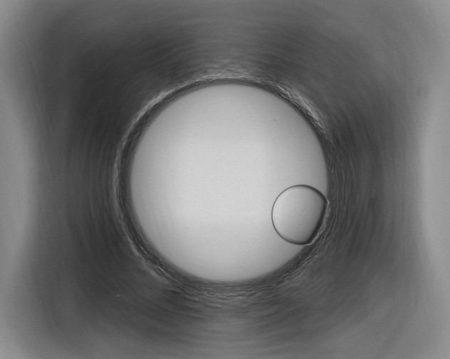 X0000116890684200912221005
