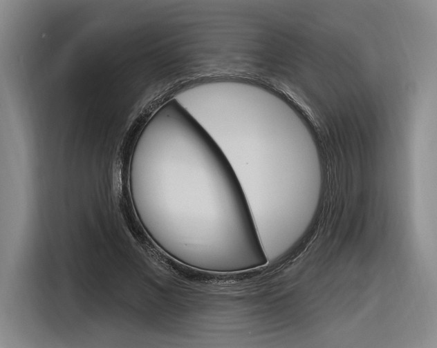 X0000116890685200912221004