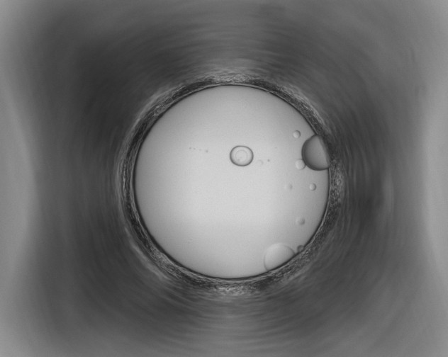 X0000116890686200912221004