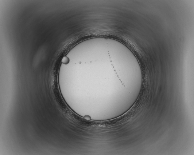 X0000116890687200912221004