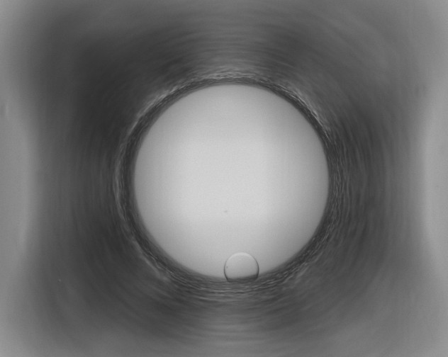 X0000116890688200912221004