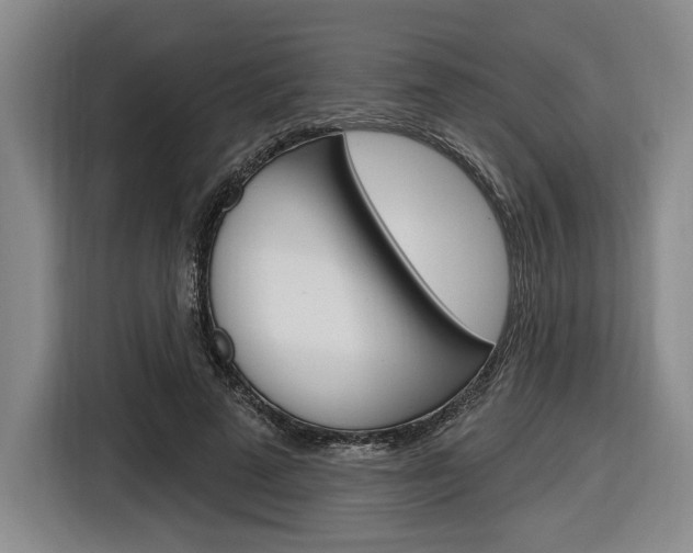 X0000116890689200912221004