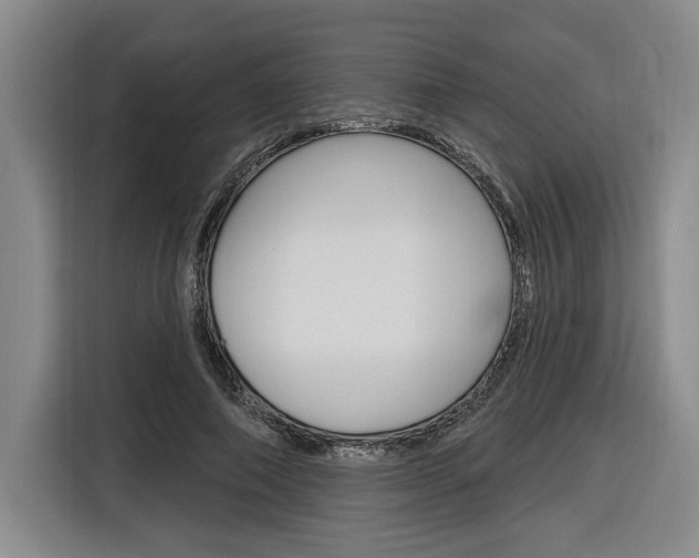 X0000116890690200912221004