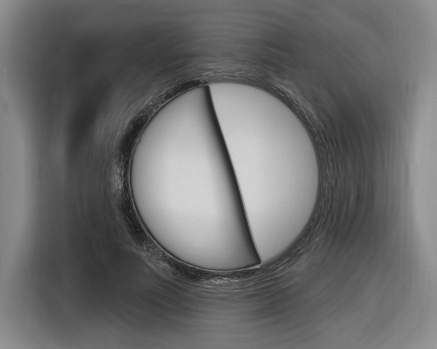 X0000116890691200912221004