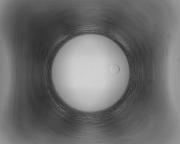 X0000116890692200912221004