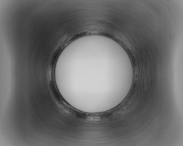 X0000116890694200912221004