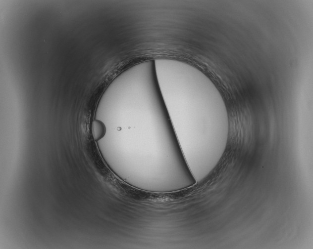 X0000116890695200912221004