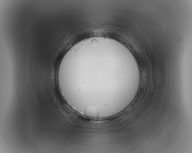 X0000116890698200912221004