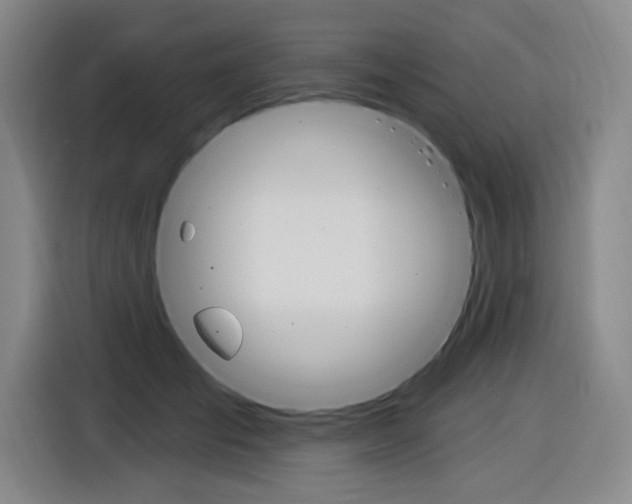 X0000116890701200912221004