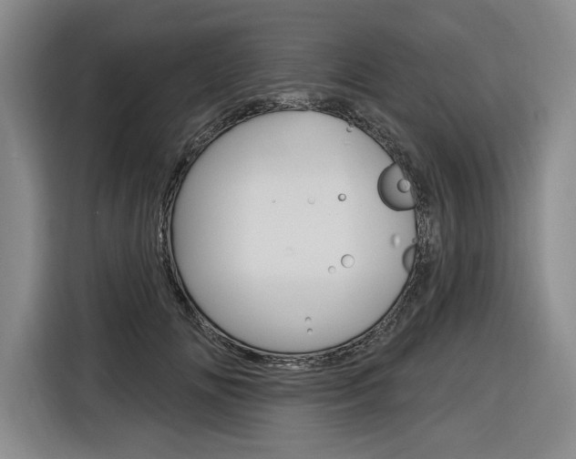 X0000116890702200912221004