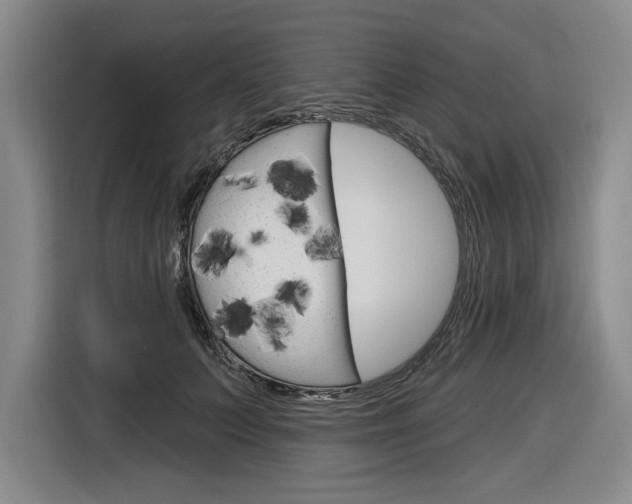 X0000116890703200912221004