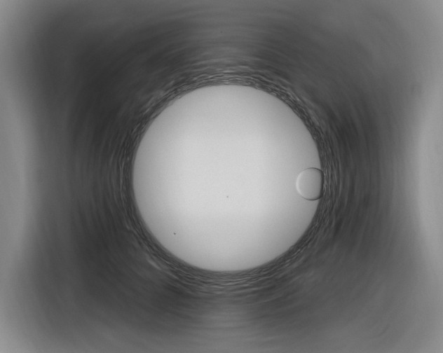 X0000116890704200912221004