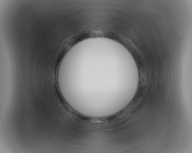 X0000116890706200912221004