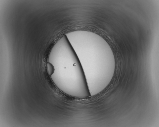 X0000116890707200912221004