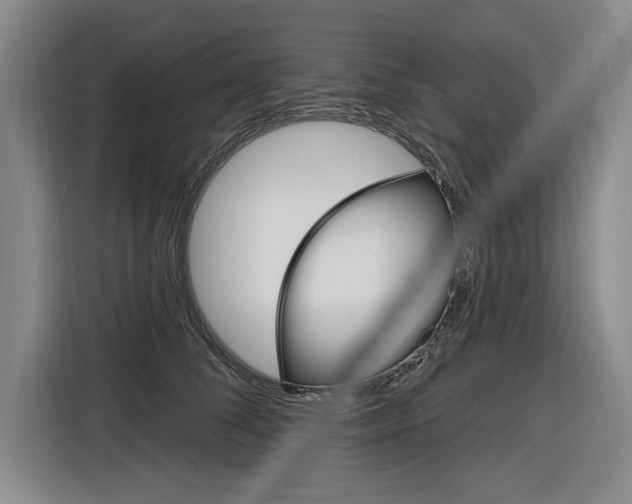 X0000116890708200912221004