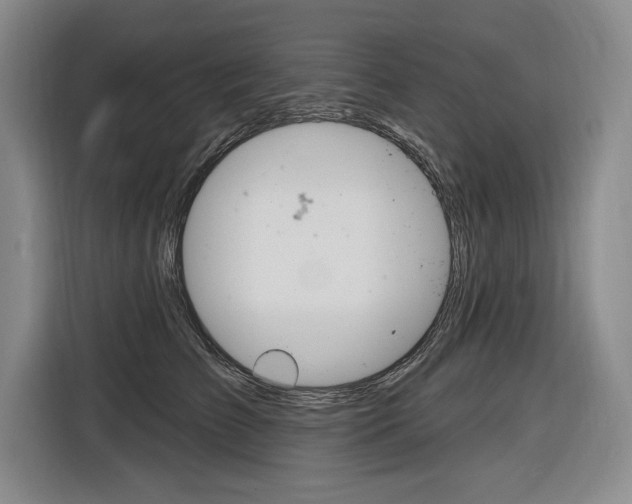 X0000116890709200912221004