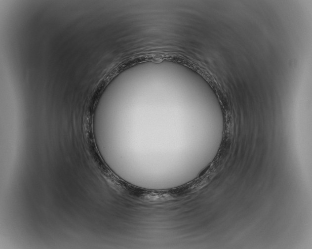 X0000116890712200912221004