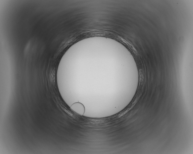 X0000116890713200912221004