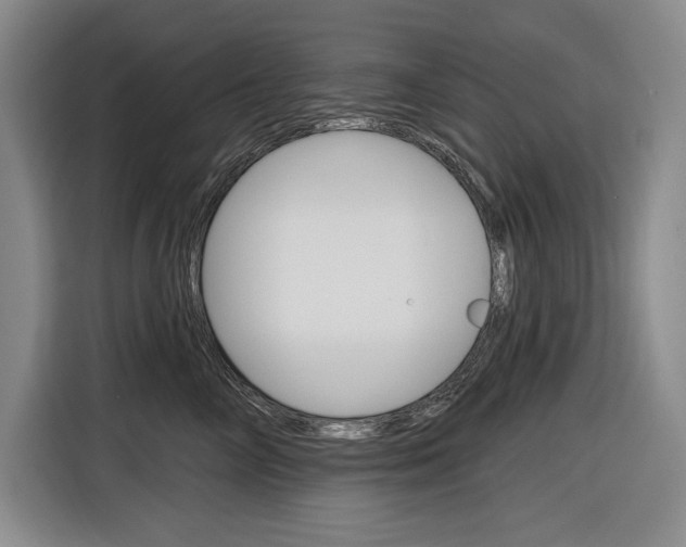 X0000116890714200912221004