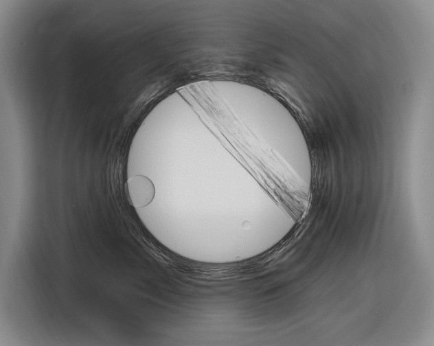 X0000116890717200912221004