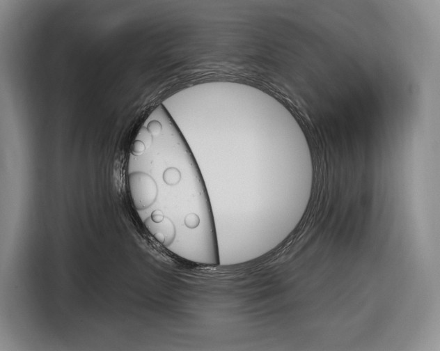 X0000116890719200912221004