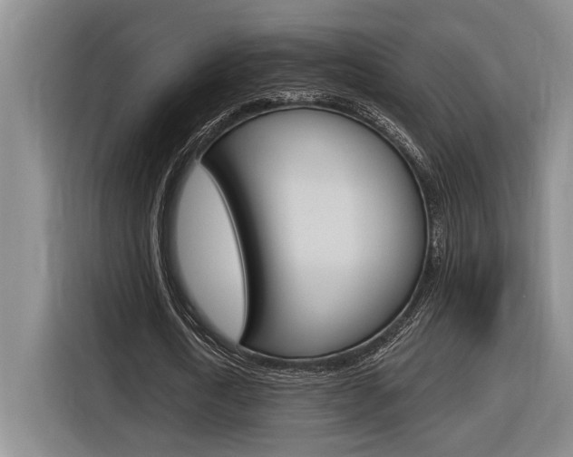 X0000116890722200912221003