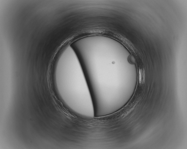 X0000116890723200912221003