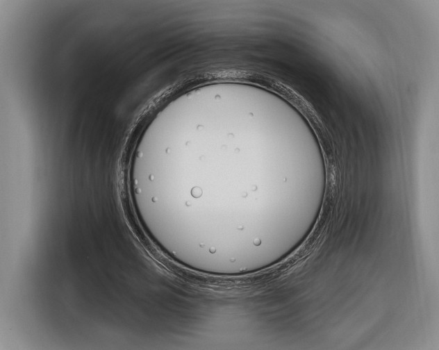 X0000116890725200912221003