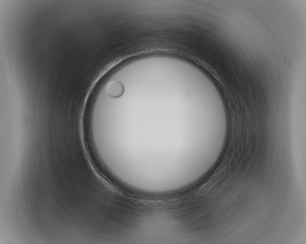 X0000116890726200912221003